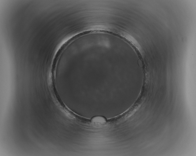 X0000110700928200906191524