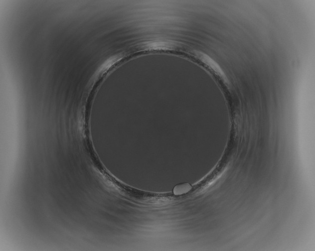 X0000110700930200906191524