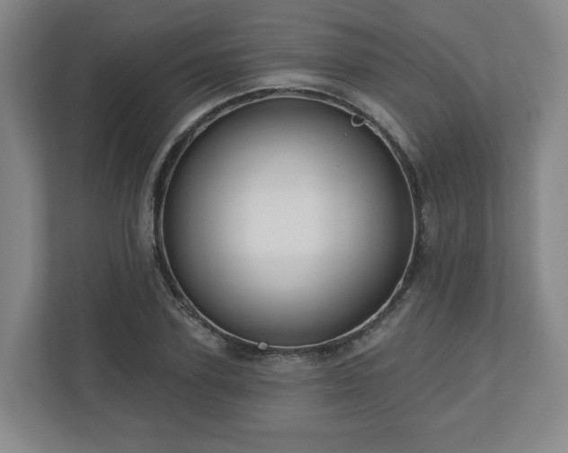 X0000110700931200906191524