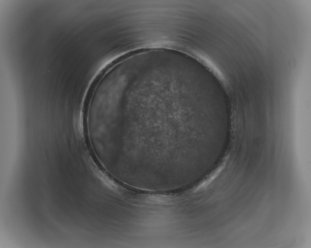 X0000110700932200906191524