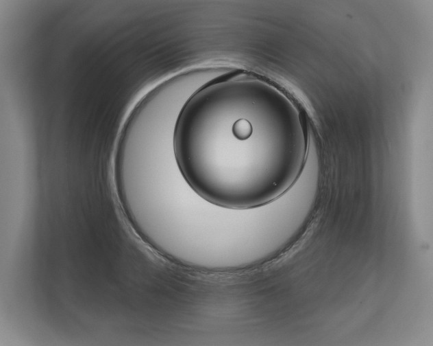 X0000110700936200906191524