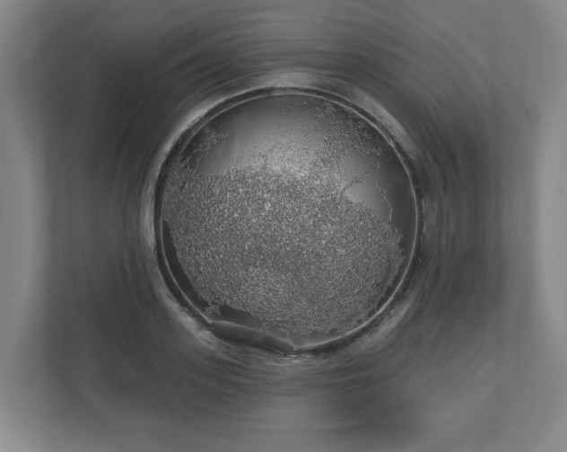 X0000110700939200906191524