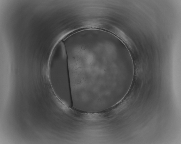 X0000110700940200906191524