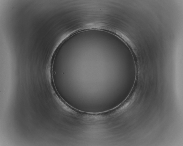 X0000110700941200906191524