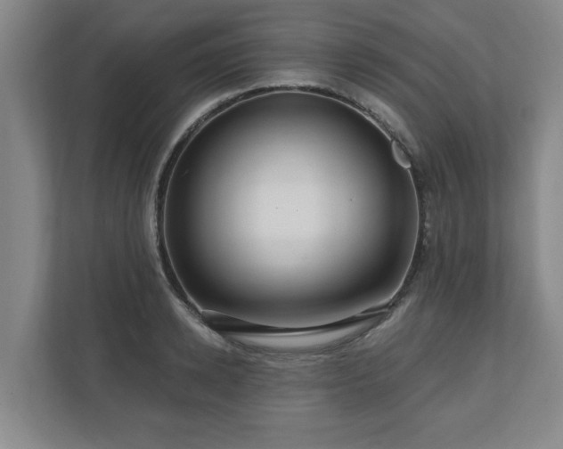 X0000110700942200906191524