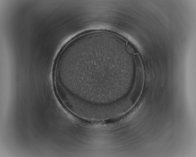 X0000110700943200906191524