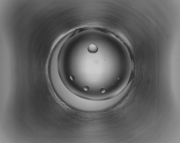 X0000110700944200906191525