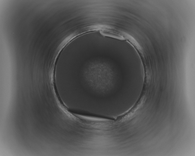 X0000110700946200906191525