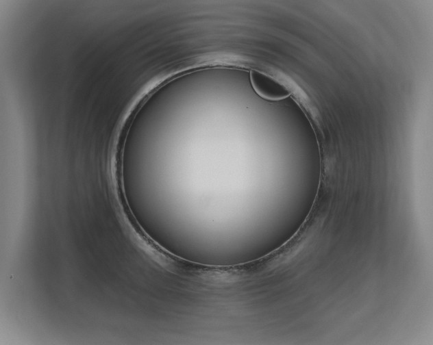 X0000110700947200906191525