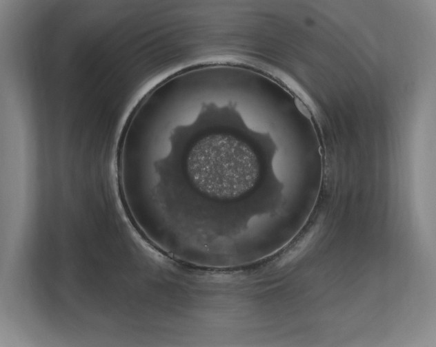 X0000110700951200906191525