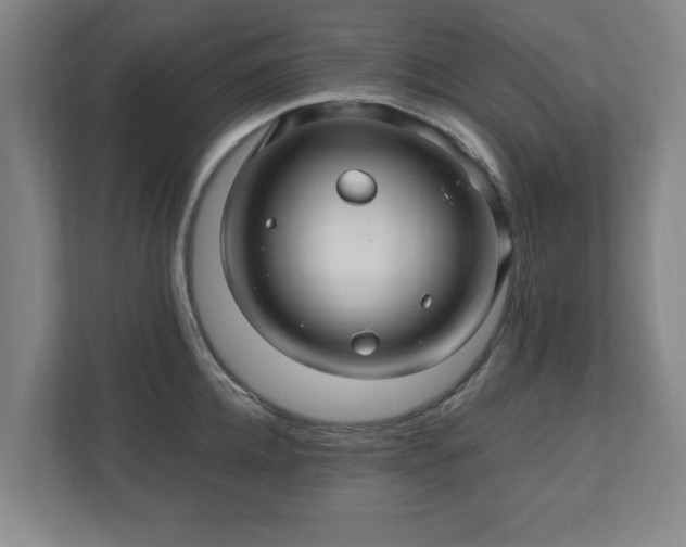 X0000110700952200906191525