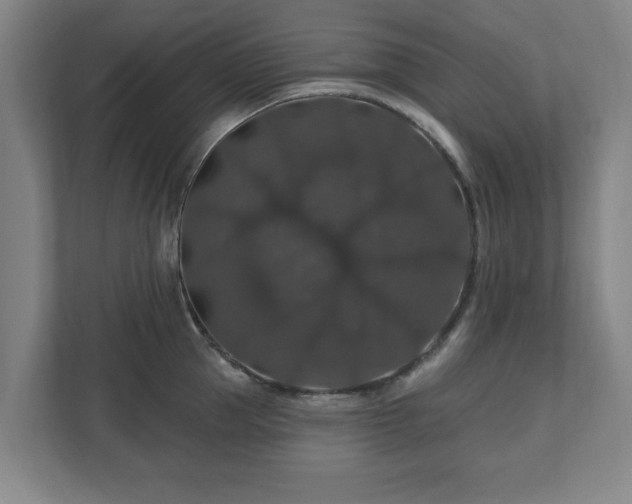 X0000110700953200906191525