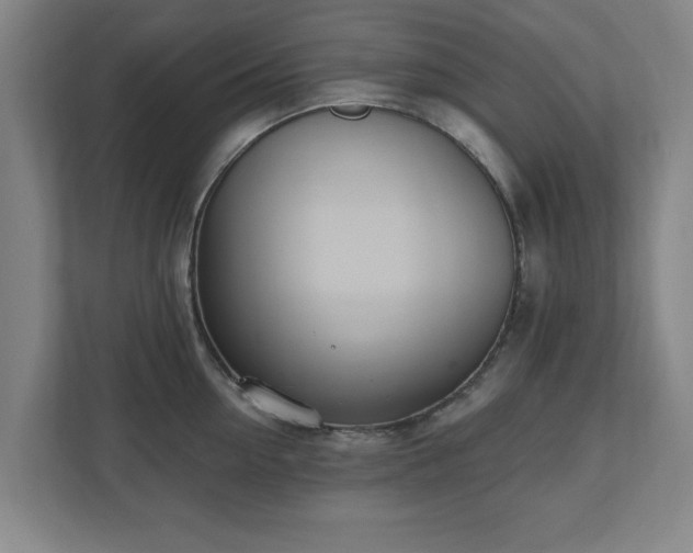 X0000110700954200906191525