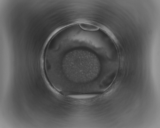 X0000110700955200906191525