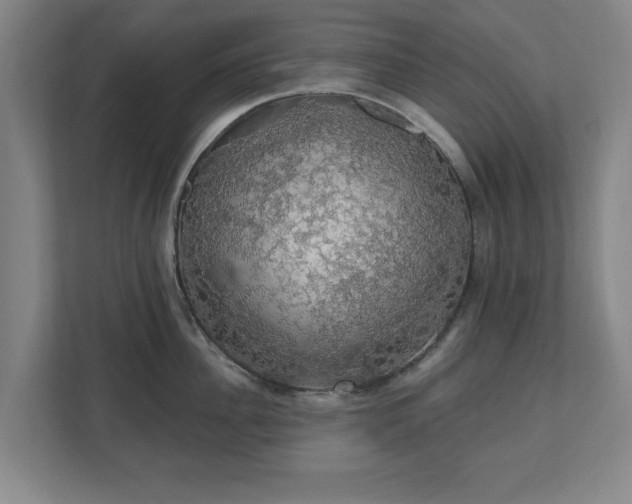 X0000110700956200906191525