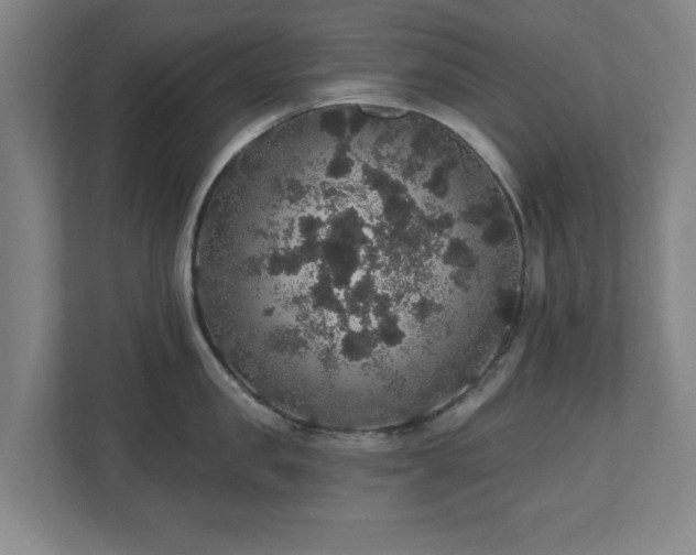 X0000110700957200906191525
