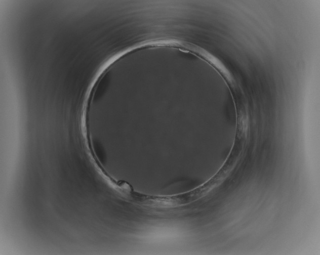 X0000110700959200906191525