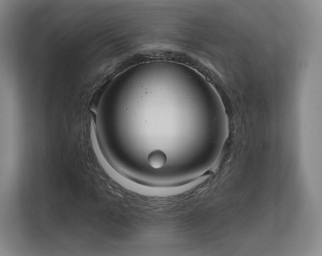 X0000110700965200906191524