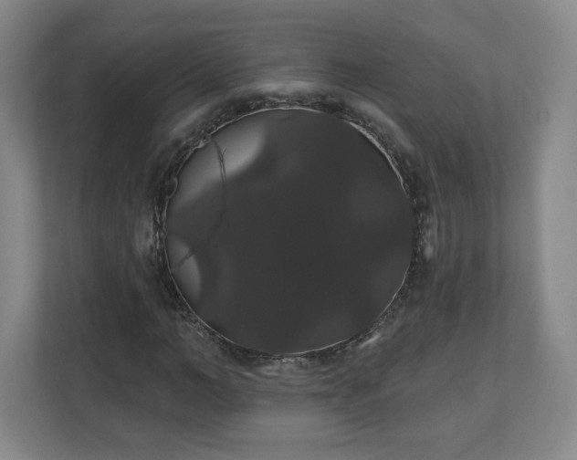 X0000110700966200906191524