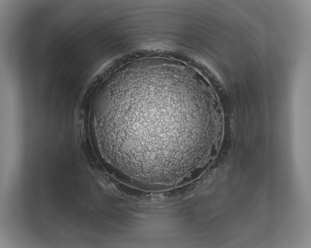 X0000110700968200906191524