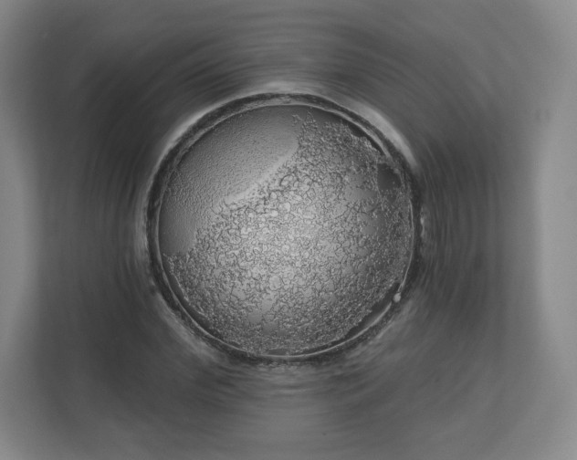 X0000110700972200906191524