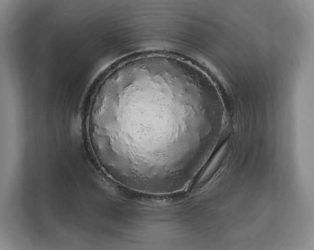 X0000110700975200906191524