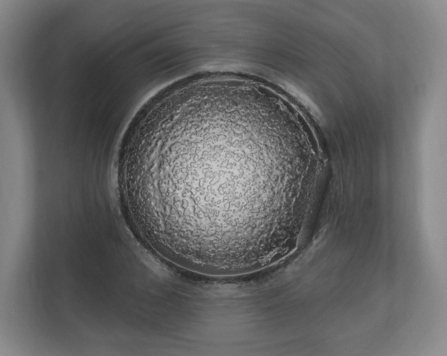 X0000110700976200906191524