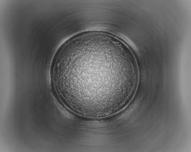 X0000110700980200906191524