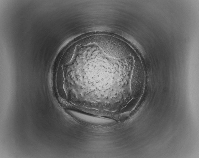 X0000110700983200906191524