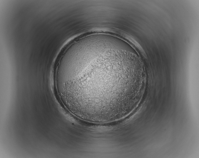 X0000110700984200906191524