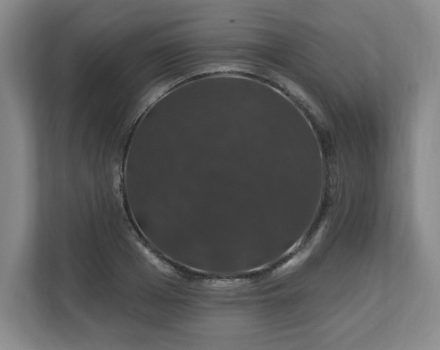 X0000110700985200906191524