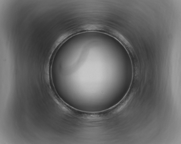 X0000110700986200906191524