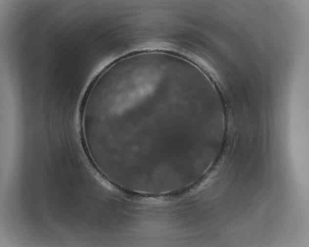 X0000110700990200906191524