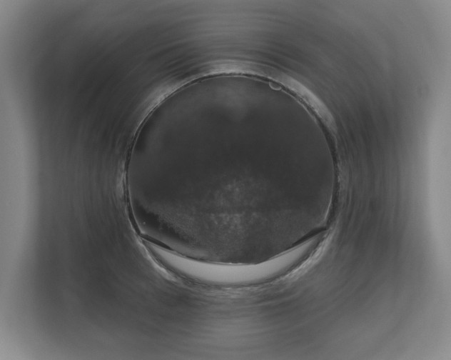 X0000110700993200906191524