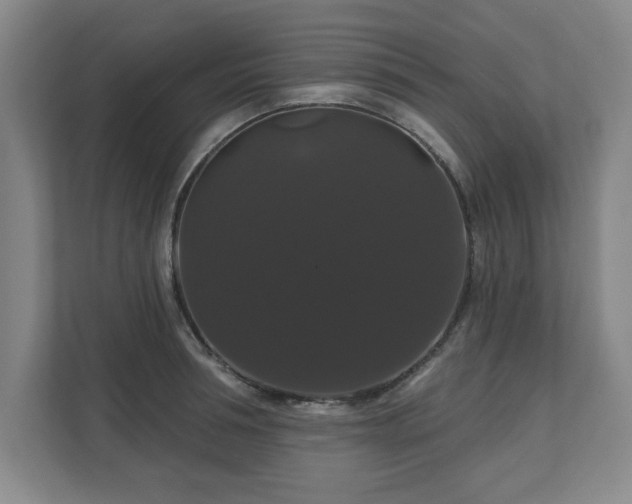 X0000110700994200906191524