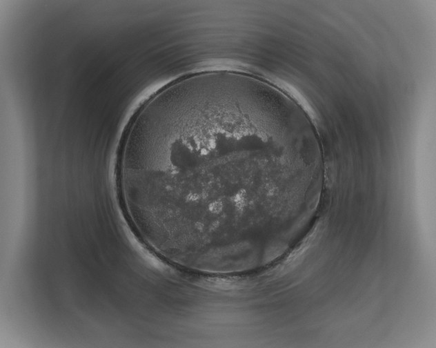 X0000110700995200906191524