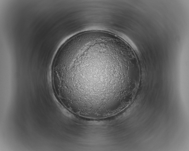 X0000110700996200906191524