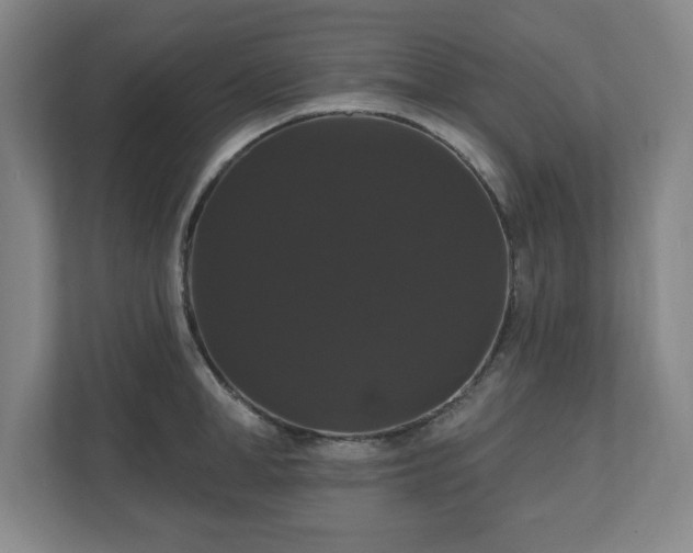 X0000110700998200906191524