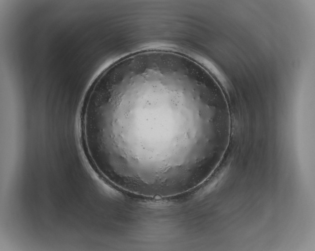 X0000110700999200906191524
