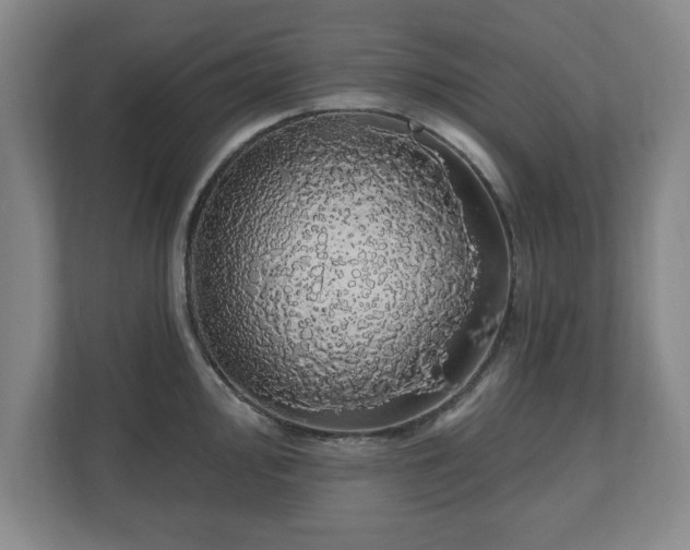 X0000110701000200906191524