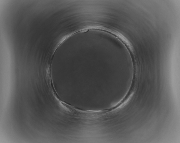 X0000110701001200906191524