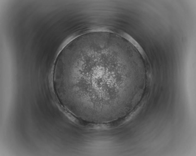 X0000110701002200906191524