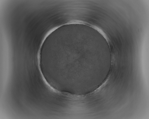 X0000110701003200906191524