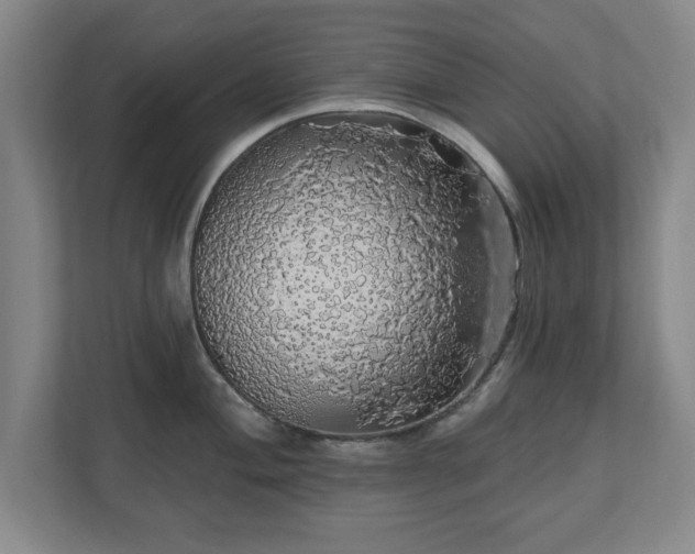 X0000110701004200906191524