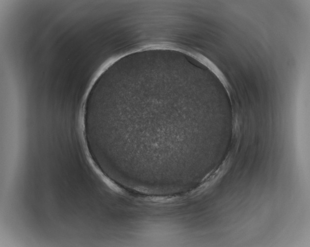 X0000110701005200906191524