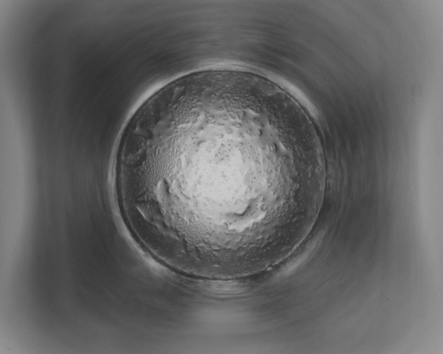 X0000110701007200906191523