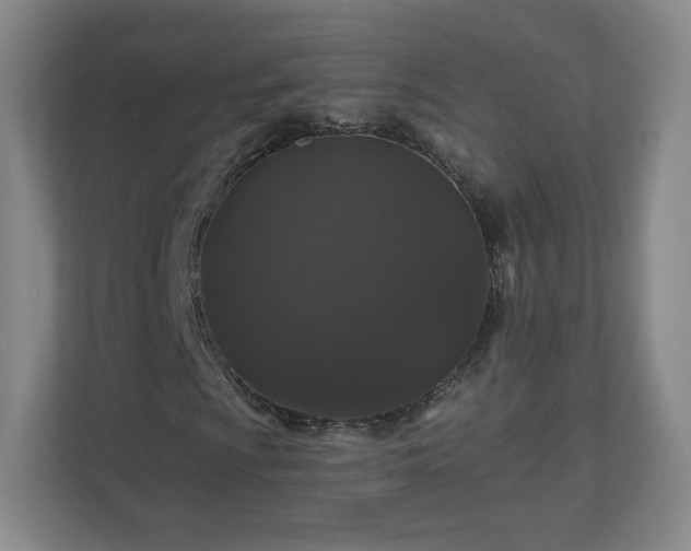 X0000110701009200906191523
