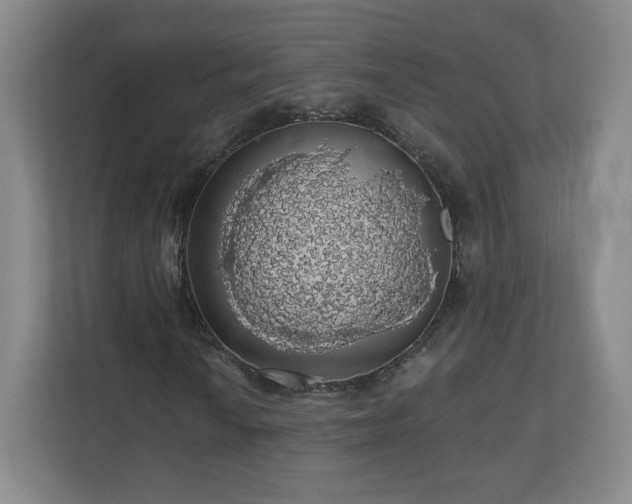 X0000110701010200906191523