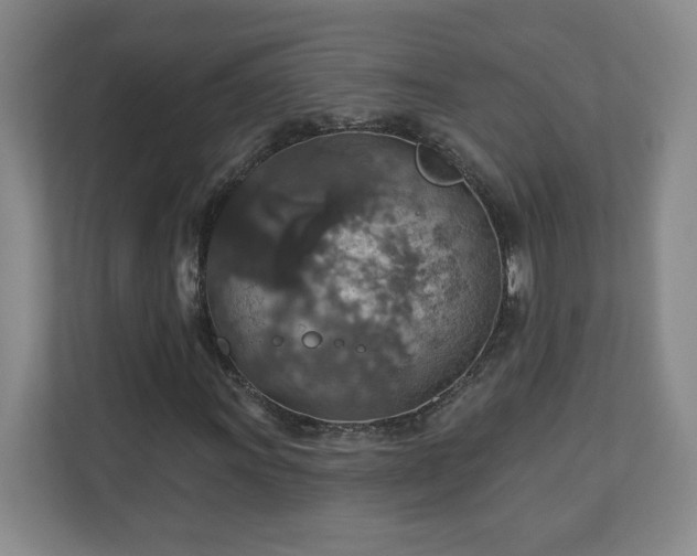 X0000110701011200906191523