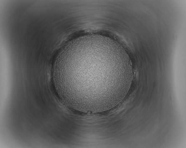 X0000110701012200906191523